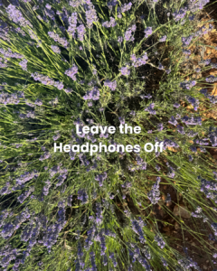 Image with text "leave headphones off"